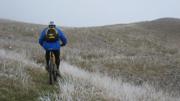 Col de l'Aiguille : L'Ours batifolle dans les herbes givrées