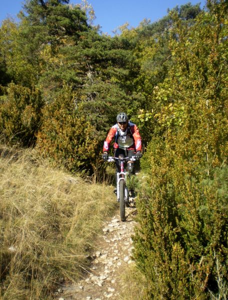 #1 Dans les Buis : Single dans les Buis en direction de la cascade de la Pissoire Dans les Buis : Single dans les Buis en direction de la cascade de la Pissoire
