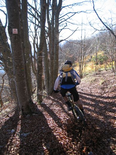 #17 Seb en glisse : On rentre dans la forêt... Seb en glisse : On rentre dans la forêt...