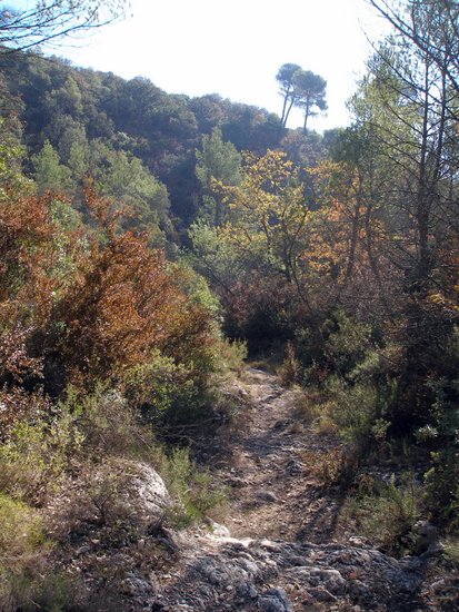 #4 Joli monotrace : Du coté des rochers de Baumaresque Joli monotrace : Du coté des rochers de Baumaresque