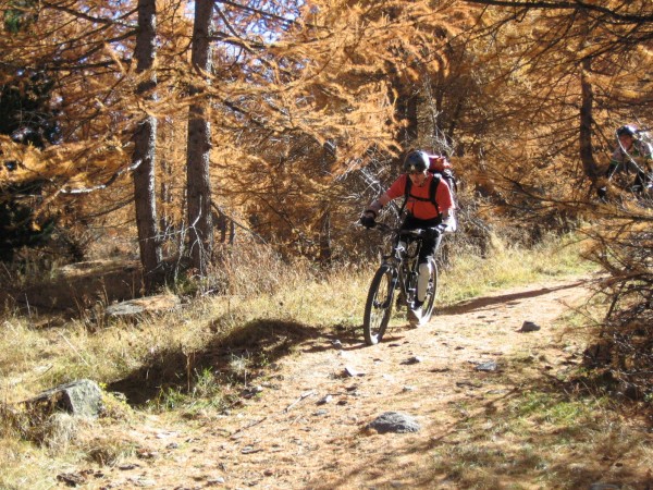 #4 Descente de Buffère : JBF en glisse sur les aiguilles de mélèzes Descente de Buffère : JBF en glisse sur les aiguilles de mélèzes