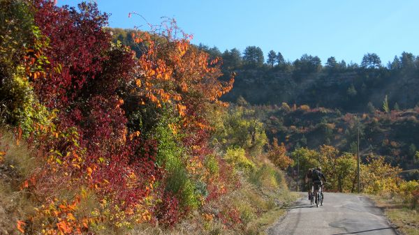#1 Couleurs : Festival de couleurs d Couleurs : Festival de couleurs d'automne !