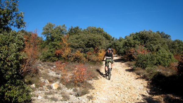 #2 Piste plus buccolique : Bien que technique la montée reste un plaisir dans ce paysage Piste plus buccolique : Bien que technique la montée reste un plaisir dans ce paysage
