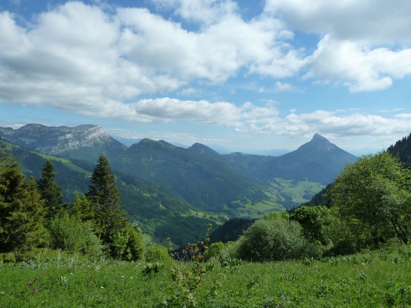 #3 Arrivée au Col des Aures : La molaire et l Arrivée au Col des Aures : La molaire et l'incisive.