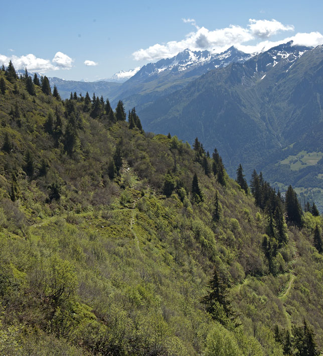 Croix de Sécheron : Descente de la combe de Gruvaz, les lacets entre 2000 et 1900 m.