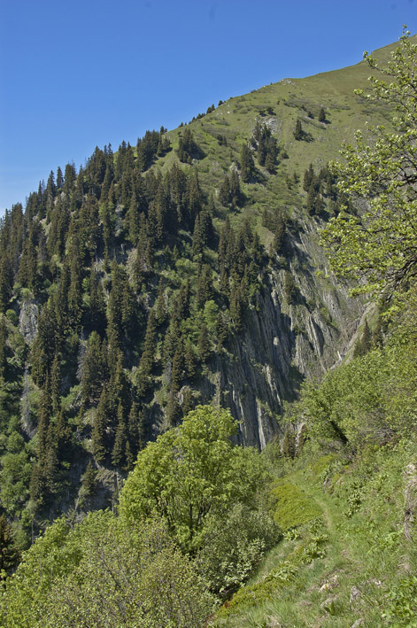 Croix de Sécheron : Suite de la descente