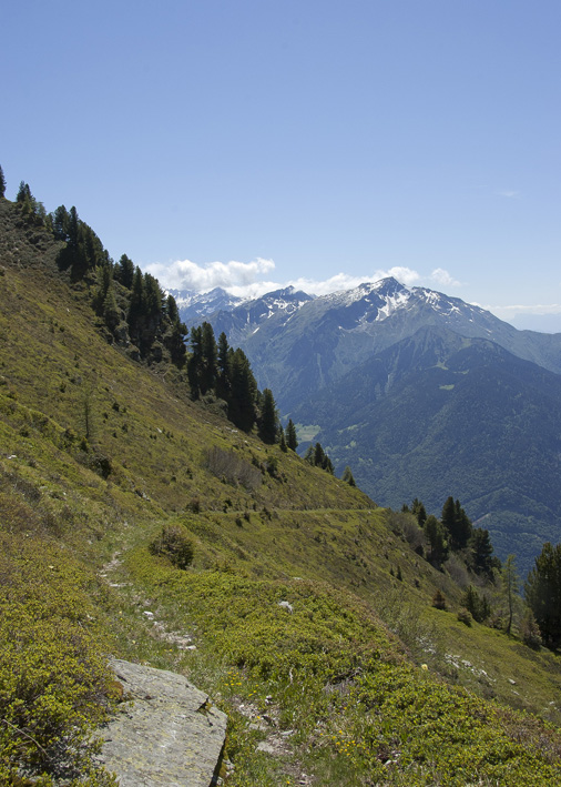 Croix de Sécheron : Descente de la combe de Gruvaz