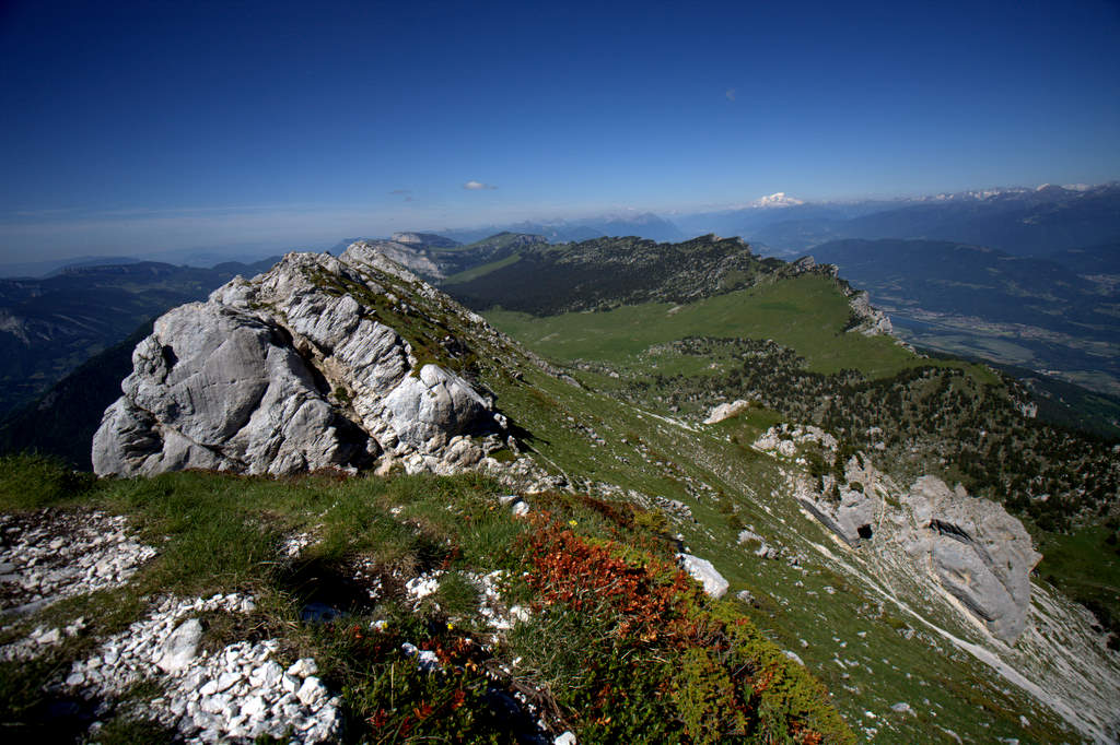 #14 Hauts Plateaux de Chartreuse : je vous laisse apprécier Hauts Plateaux de Chartreuse : je vous laisse apprécier