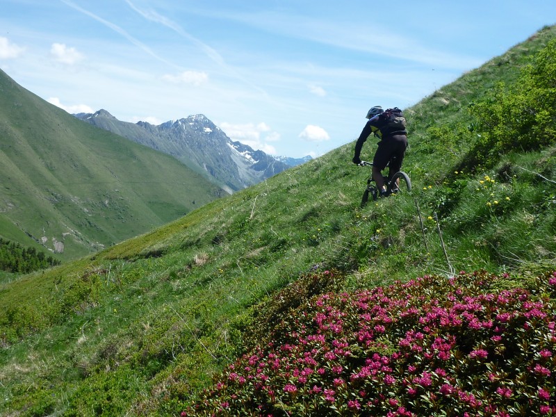 Descente divine : Rhodos en fleurs !