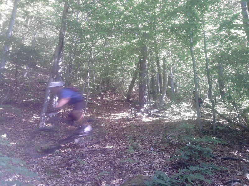 #9 Forêt du Gargas : Trop rapide le Manu Forêt du Gargas : Trop rapide le Manu