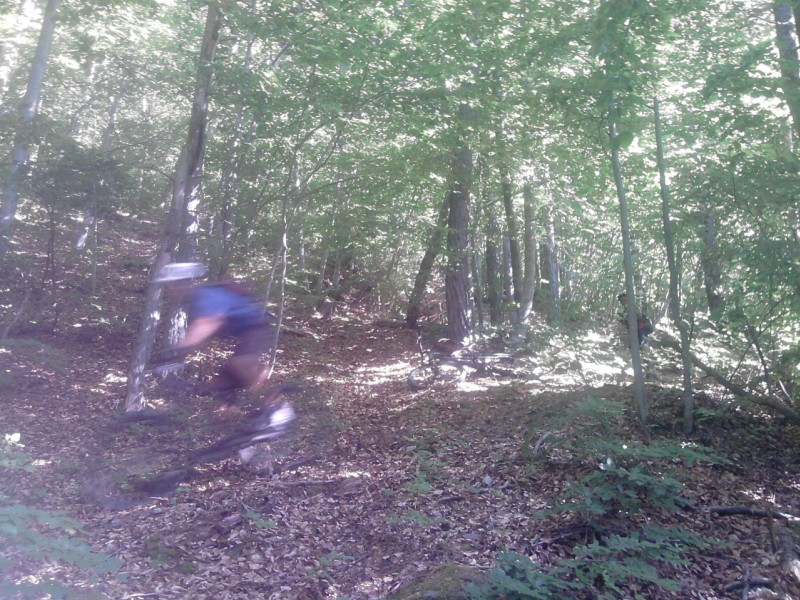 Forêt du Gargas : Trop rapide le Manu