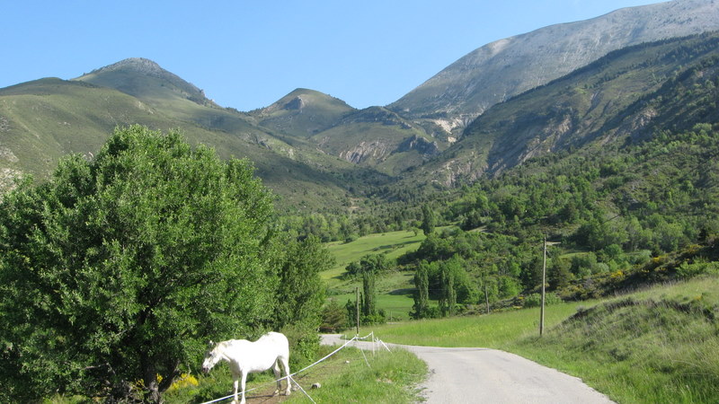 Tartonne > Saint André- : Le Cheval Blanc ;)