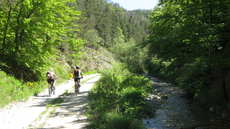 Saint André > Entrevaux : Piste bien ombragée pour le début !