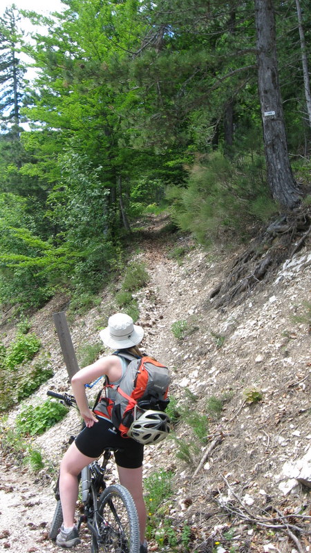 Saint André > Entrevaux : Le sentier qui descend de colle basse, et que l'on a raté (je vais rattacher la photo au sentier)