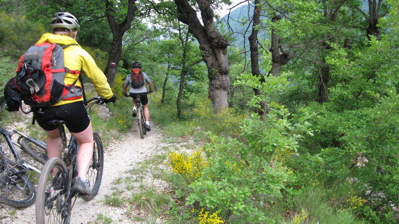 #21 Saint André > Entrevaux : Dernière partie du dernier sentier de la sortie, on retrouve la chaleur du sud ! Pas de photos avant car bien humide mais gros plaisir ! Saint André > Entrevaux : Dernière partie du dernier sentier de la sortie, on retrouve la chaleur du sud ! Pas de photos avant car bien humide mais gros plaisir !