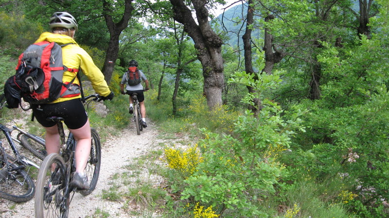 Saint André > Entrevaux : Dernière partie du dernier sentier de la sortie, on retrouve la chaleur du sud ! Pas de photos avant car bien humide mais gros plaisir !