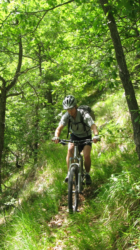 #8 Saint André > Entrevaux : une partie du sentier, pas hyper marqué et propre, mais ça roule bien entre les épingles (T4) Saint André > Entrevaux : une partie du sentier, pas hyper marqué et propre, mais ça roule bien entre les épingles (T4)