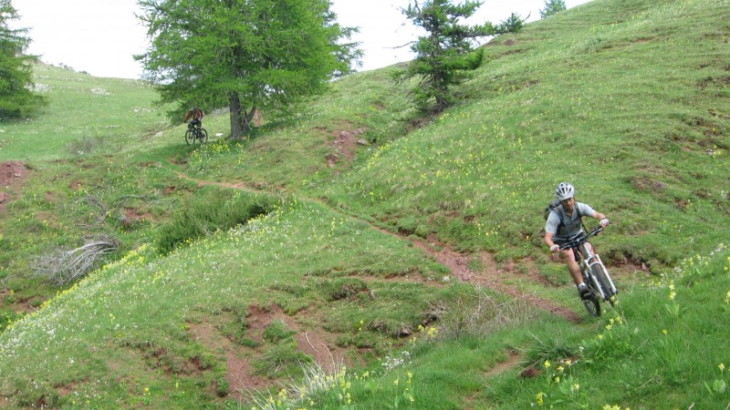 EntreVaux > Puget Rostand : Début de la descente sous le col de Sui, l'orage à nos trousses...