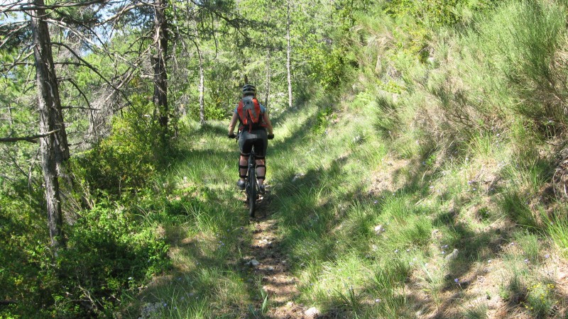 #1 Puget Rostand > Puget Théni : sympa le bout de sentier descendant sur la borne 169 Puget Rostand > Puget Théni : sympa le bout de sentier descendant sur la borne 169