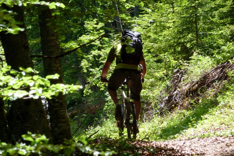 J4: Remontée au Ruban : Joli passage en sous bois