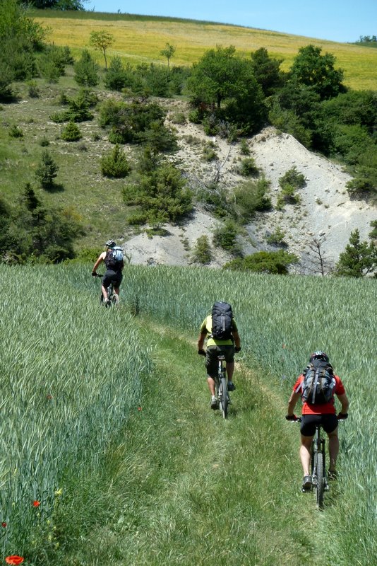 #87 J4: Ultime montée : On remonte sur les Oliviers dans une ambiance agricole et avec même quelques marnes plus haut. Certainement quelques beaux passages dans le coin à découvrir J4: Ultime montée : On remonte sur les Oliviers dans une ambiance agricole et avec même quelques marnes plus haut. Certainement quelques beaux passages dans le coin à découvrir