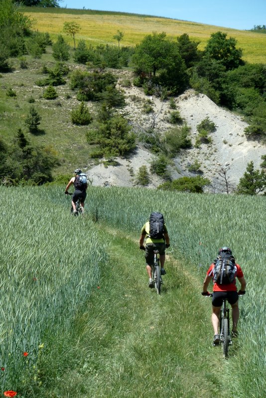 J4: Ultime montée : On remonte sur les Oliviers dans une ambiance agricole et avec même quelques marnes plus haut. Certainement quelques beaux passages dans le coin à découvrir