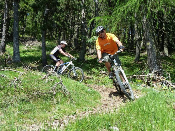 #8 J1: Epingle : Ludique nickel pour se régaler dans la forêt J1: Epingle : Ludique nickel pour se régaler dans la forêt