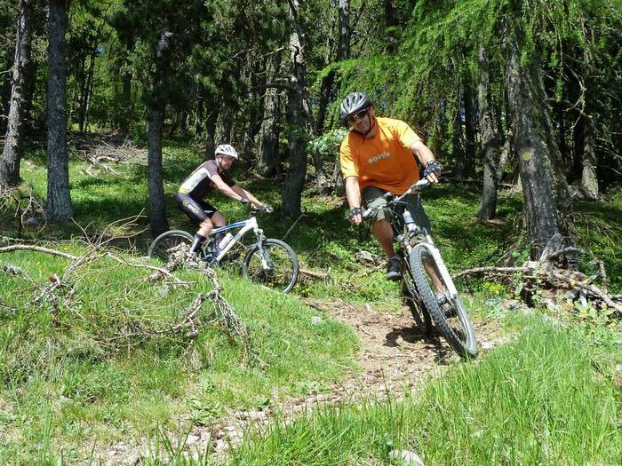 J1: Epingle : Ludique nickel pour se régaler dans la forêt