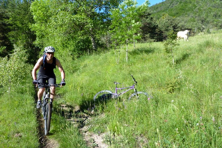 J4: Kéké du sud : Pour fêter ce dernier jour, Tienou a sorti le débardeur