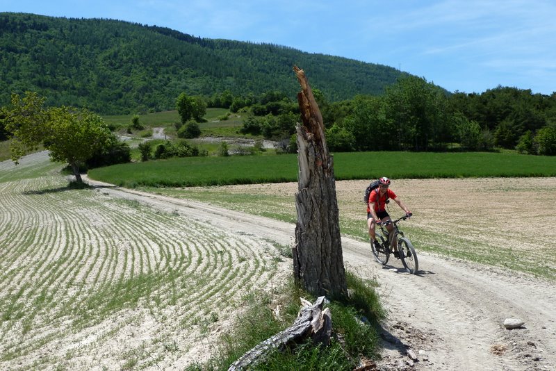 J4: ride agricole : Un section piste qui roule vite. C'est sec !!!