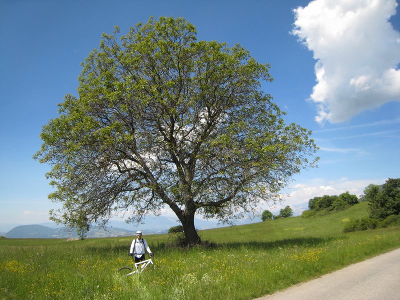 J1: Poésie pastorale : Les temps de pause pour attendre le groupe permet d'exprimer sa créativité photographique ;-)