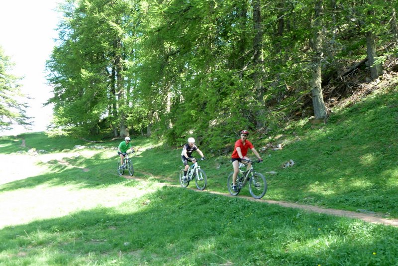 #7 J1: Un p J1: Un p'tit bout roulant : On profite quand cela roule