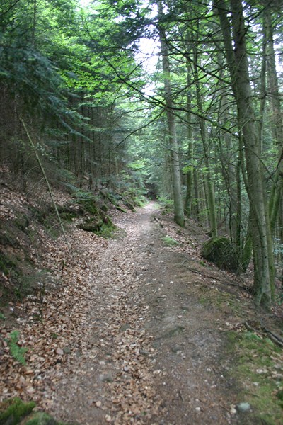 sentier2 : Montée vers la vierge Vohné