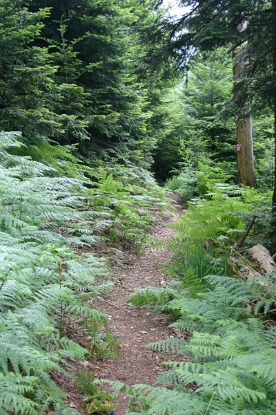 #12 descente : La descente c descente : La descente c'est par là