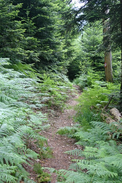 descente : La descente c'est par là