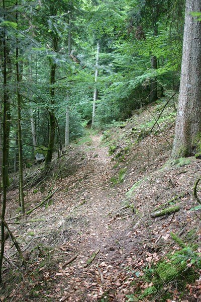 #3 sentier : Finalement ça roule sentier : Finalement ça roule