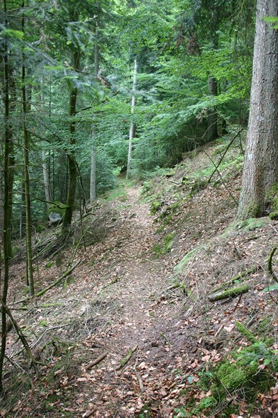 sentier : Finalement ça roule