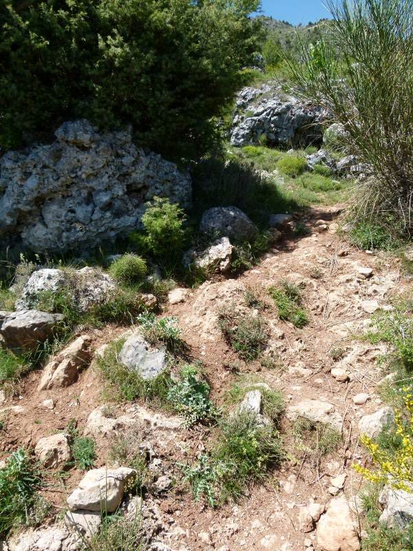 #1 Vers le col de Rosa : De la rocaille en tout venant en veux tu en voilà. Vers le col de Rosa : De la rocaille en tout venant en veux tu en voilà.