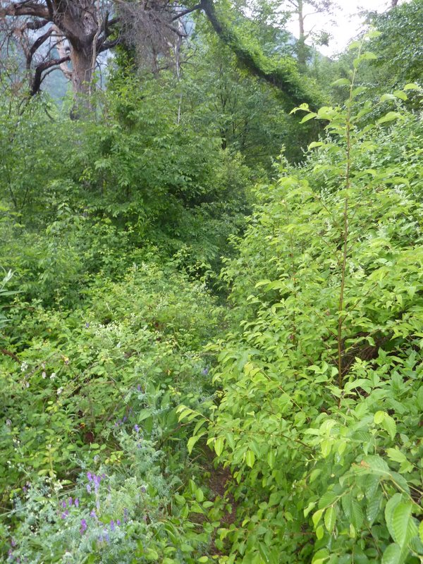 Sentier Valléen : Là c'est moins évident, et surtout je vais me tremper !