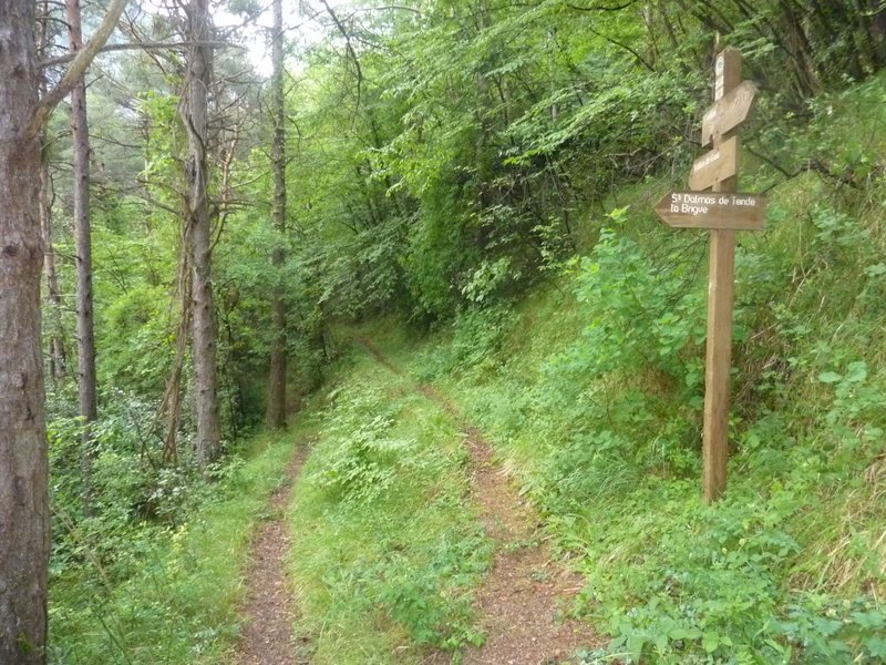 Vallon de Groa : Enfin un peu de descente ludique