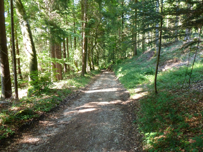 #5 descente : le long du vallon Sainte Catherine descente : le long du vallon Sainte Catherine