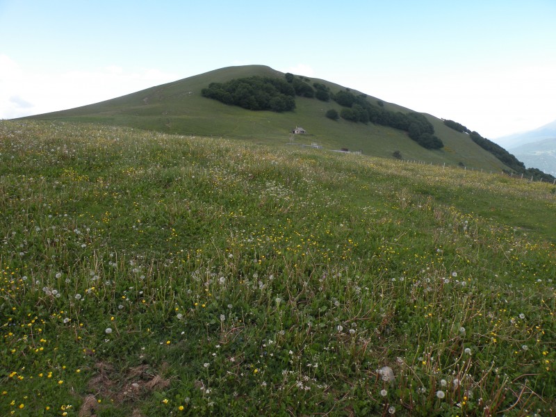 #2 photo2 : La sortie dans l photo2 : La sortie dans l'Alpage