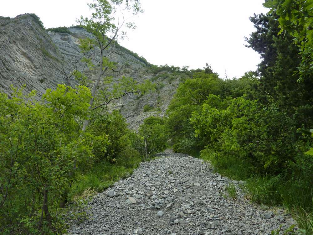 #6 Pas de la Branche : ça doit bien parpiner dans le coin !!! Pas de la Branche : ça doit bien parpiner dans le coin !!!