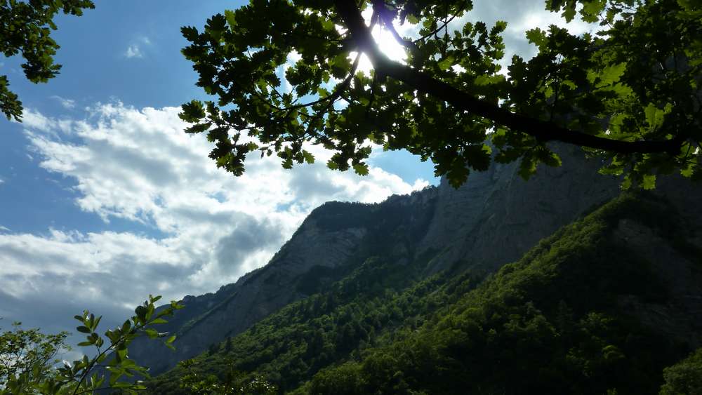 #1 Pas de la Branche : sous la branche, le pas homonyme, le prochain objectif Pas de la Branche : sous la branche, le pas homonyme, le prochain objectif