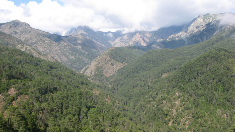 Porto en boucle : Belle vue sur la haute vallée de la Lonca