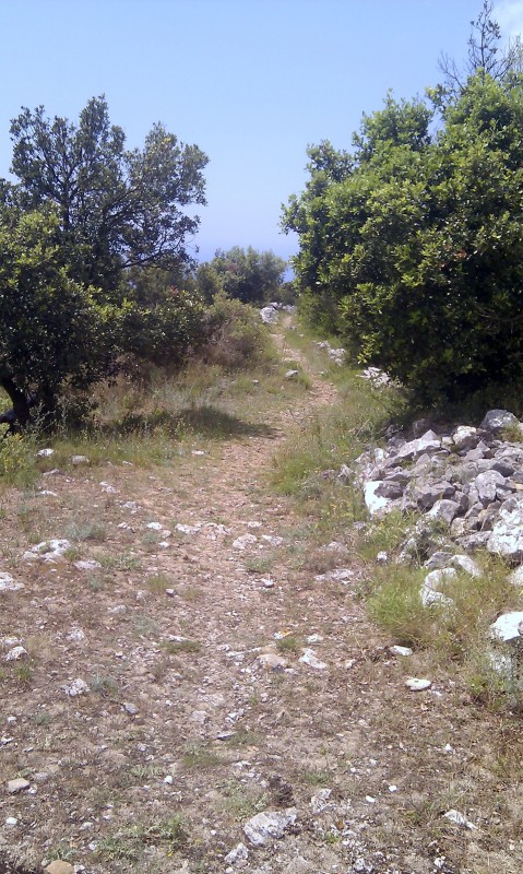 #3 Descente du Sommet : Classique pour l Descente du Sommet : Classique pour l'instant