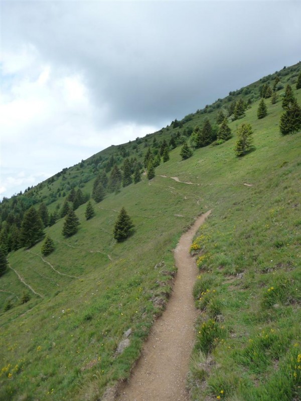 #4 Le Môle : La traversée vers l Le Môle : La traversée vers l'arête Ouest, beau sentier.