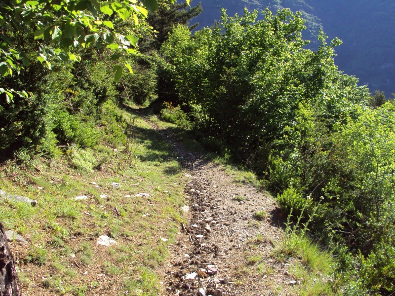 #2 descente : partie rapide descente : partie rapide