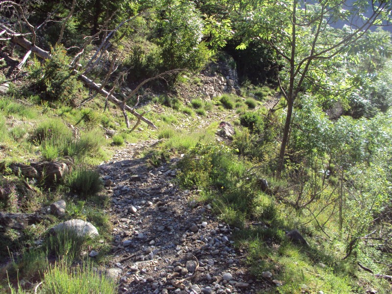#3 descente : assez roulant descente : assez roulant