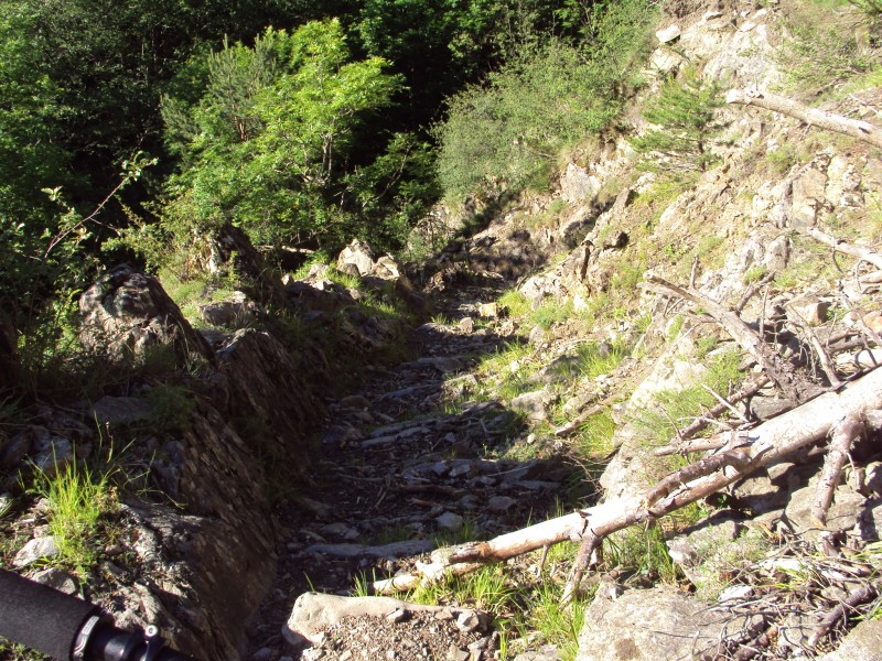 #8 descente : ça secoue descente : ça secoue
